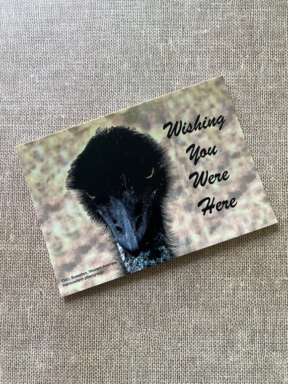 Busselton Postcard ~ Emu, Wishing you were here