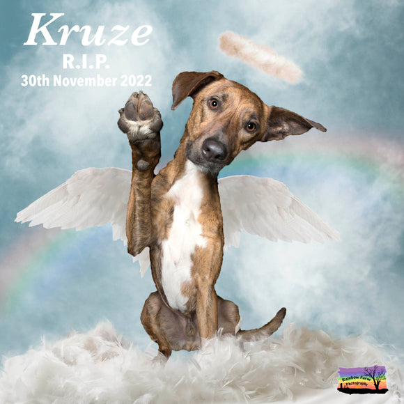 Pet Memorial Rainbow Bridge Remembrance