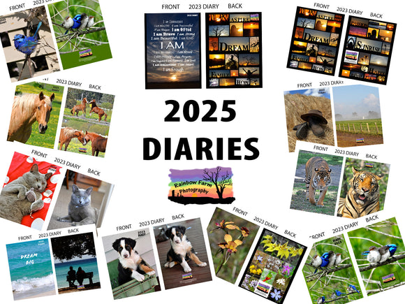 2025 Yearly  Diaries