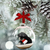 Christmas Photo Editing using your own pet photo