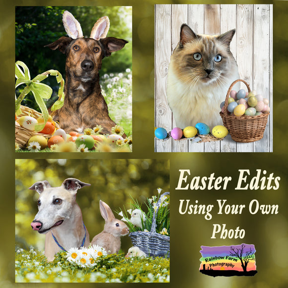 Easter Customised Edits using your own pet photo