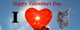 Valentine's Day Personalised Facebook Cover using own photo of pet