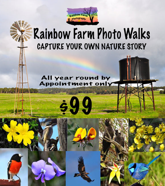 Nature Photo Walk on Rainbow Farm Tour