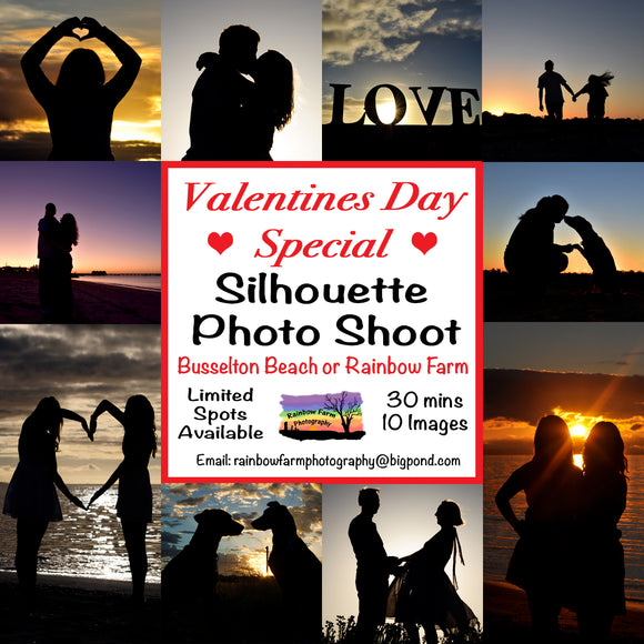 Valentines Day Silhouette Photo Session