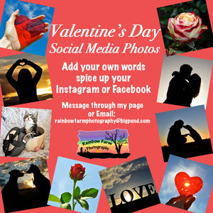 10 Social Media Photos for Valentines Day