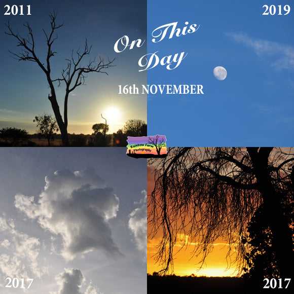 ON THIS DAY Collage of Nature Photos