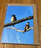 Bird Greeting Cards Single