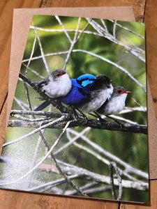 Bird Greeting Cards Single