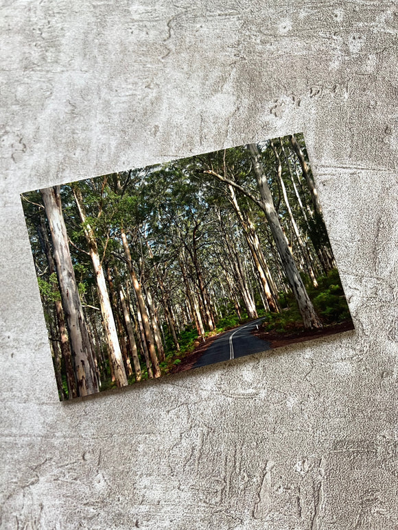 Postcard ~ Boranup Forest , Western Australia