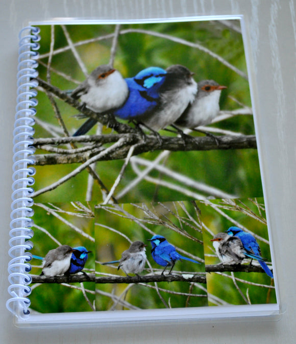 Blue Wren Note book/ Journal